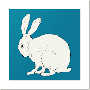 White Sitting Fluffy Rabbit Posters and Art